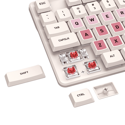Redragon EU BS 8531 Wireless Keyboard & Mouse Combo, 104 Keys Low-Profile Mechanical Switch White LED Gaming Keyboard and 8000 DPI Mouse Bundle, Sakura Pink