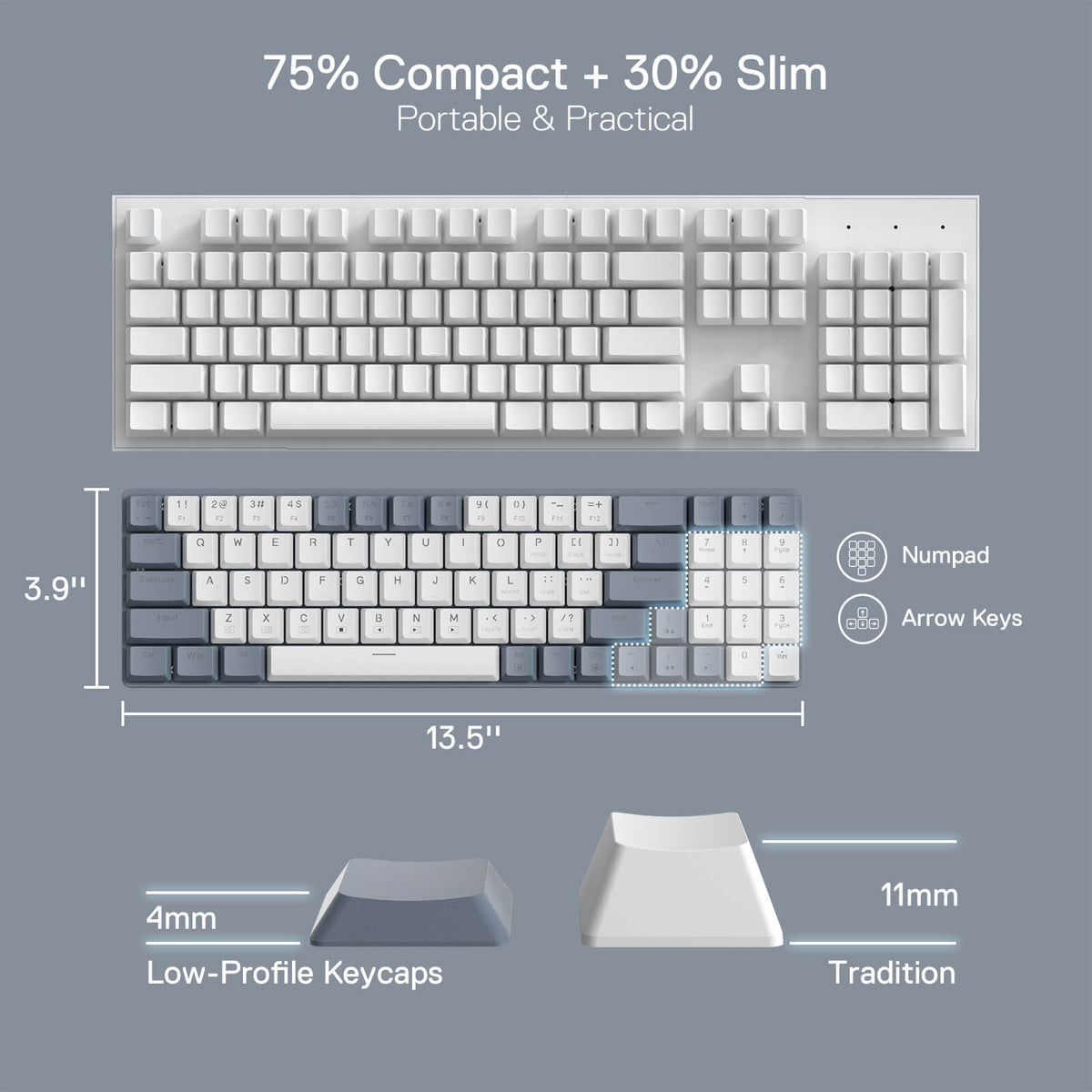 Redragon EU BS8772 Wireless Keyboard and Mouse Combo, 75% 78 Keys 2.4Ghz Wireless Low-Profile Mechanical Keyboard w/Rechargeable Battery, Single Blue Blacklight, 2400 DPI Ergonomic Mouse