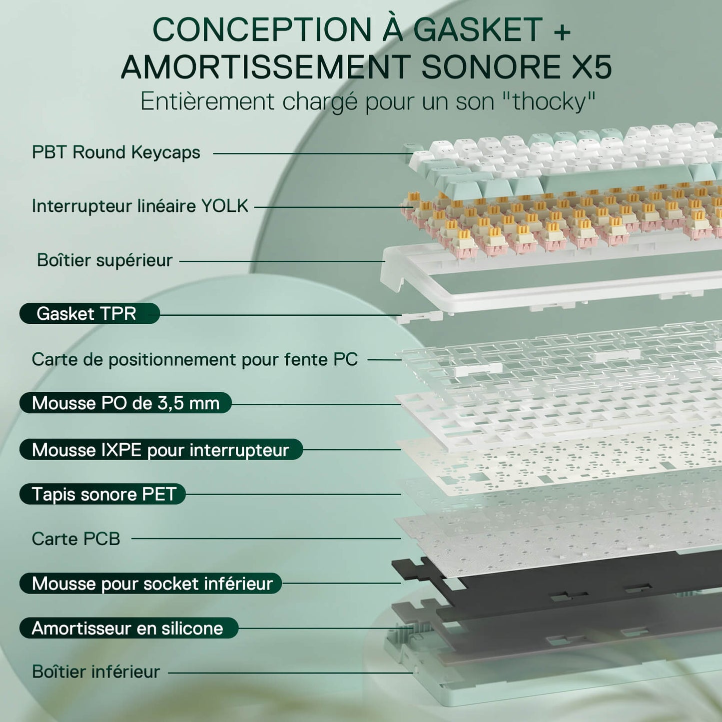 Diagram of a keyboard with labeled components on a light green background