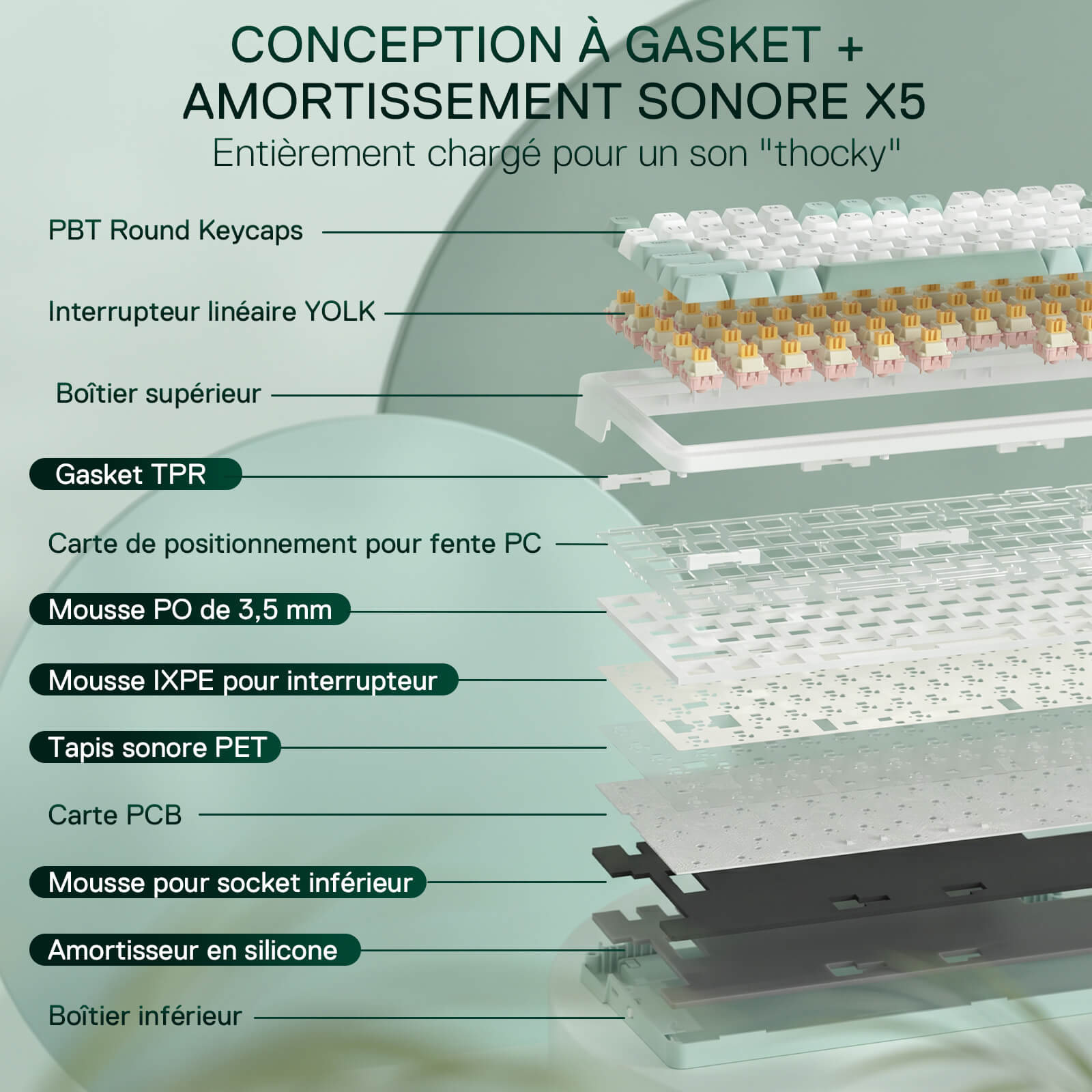 Diagram of a keyboard with labeled components on a light green background