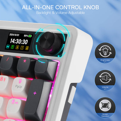 Redragon EU K719 Wireless Gasket Gaming Keyboard w/Hype Screen & Knob, 95 Keys Mechanical Keyboard, Easy-Control 1.14’’ TFT Info Display, 5-Layer Noise Dampener, Round PBT Keycaps, Mint Mambo Switch