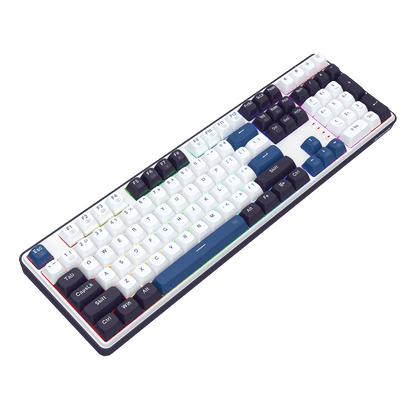 Redragon EU K689 Wired Gasket RGB Gaming Keyboard, 104 Keys + Extra 4 Hotkeys Mechanical Keyboard w/Upgraded Hot-swappable Socket, 5-Layer Noise Dampening, Mixed Color Keycaps, Custom Linear Switch