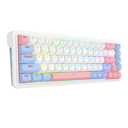 Redragon EU K709 PRO 65% Wireless Gasket RGB Gaming Keyboard, 68 Keys Hot-Swap Compact Mechanical Keyboard w/Free-Mod Socket, 5-Layer Noise Dampening & Round PBT Keycaps, Quiet Custom Linear Switch