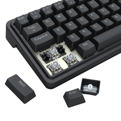 Redragon EU K722 60% Wired Gasket RGB Gaming Keyboard, 61 Keys Hot-Swap Compact Mechanical Keyboard w/Free-Mod Socket, 3-Layer Noise Dampening, Quiet Custom Linear Switch