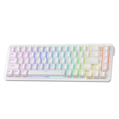 Redragon EU K709 65% Wired Gasket RGB Gaming Keyboard, 68 Keys Hot-Swap Compact Mechanical Keyboard w/Free-Mod Socket, 3-Layer Noise Dampening & Dedicated Arrow Keys, Quiet Custom Linear Switch,white| show