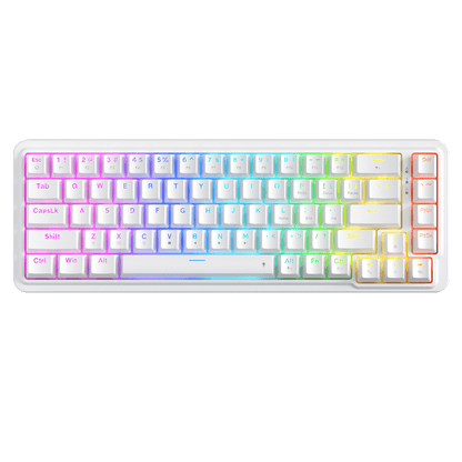 Redragon EU K709 65% Wired Gasket RGB Gaming Keyboard, 68 Keys Hot-Swap Compact Mechanical Keyboard w/Free-Mod Socket, 3-Layer Noise Dampening & Dedicated Arrow Keys, Quiet Custom Linear Switch