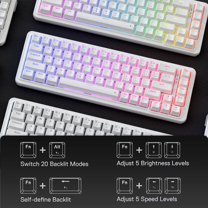 Redragon EU K709 65% Wired Gasket RGB Gaming Keyboard, 68 Keys Hot-Swap Compact Mechanical Keyboard w/Free-Mod Socket, 3-Layer Noise Dampening & Dedicated Arrow Keys, Quiet Custom Linear Switch
