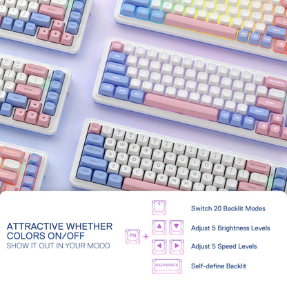 Redragon EU K709 PRO 65% Wireless Gasket RGB Gaming Keyboard, 68 Keys Hot-Swap Compact Mechanical Keyboard w/Free-Mod Socket, 5-Layer Noise Dampening & Round PBT Keycaps, Quiet Custom Linear Switch