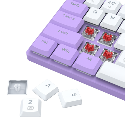 Redragon BS8773 Wireless Keyboard and Mouse Combo,Lilac