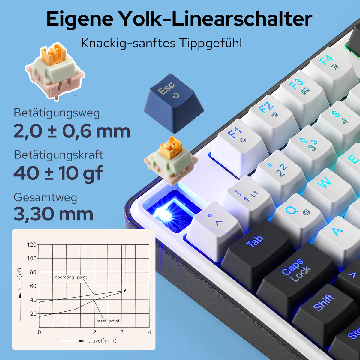 Redragon EU K689 QWERTZ Kabelgebundene Gasket Gaming‑Tastatur Hot‑Swap
4 Zusatzhotkeys 3‑lagiger Geräuschdämpfung bunte Tastenkappen